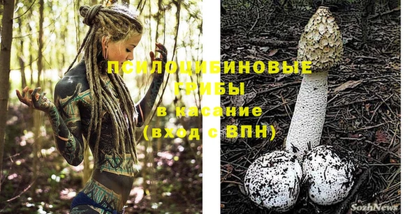 PSILOCYBIN Абдулино