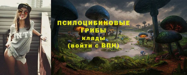 ECSTASY Абинск